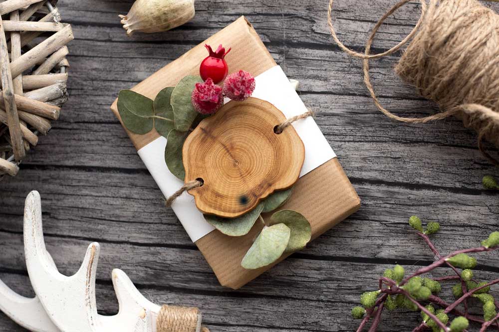 Idée cadeau Noël 2025 : quelles jumelles offrir à un passionné de nature 