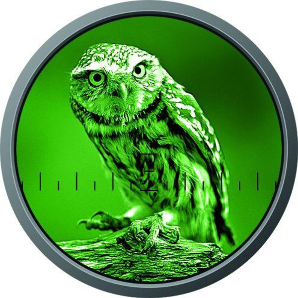 Μονοκιάλι νυχτερινής όρασης ZEISS Victory 5.6x62 NV 