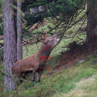 Jumelles GPO avec télémètre Rangeguide 3200 10x40