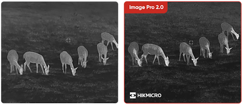 Κιάλια θερμικής όρασης HIKMICRO Habrok PRO HQ50LN 