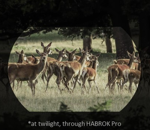 Κιάλια θερμικής όρασης HIKMICRO Habrok PRO HQ50LN 