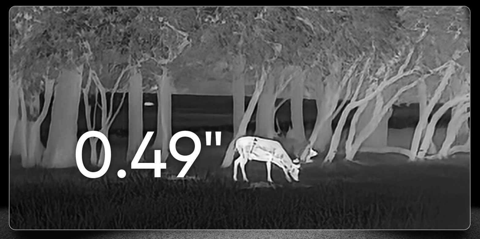 Monoculaire de vision Thermique Hikmicro Lynx LE15 3.0