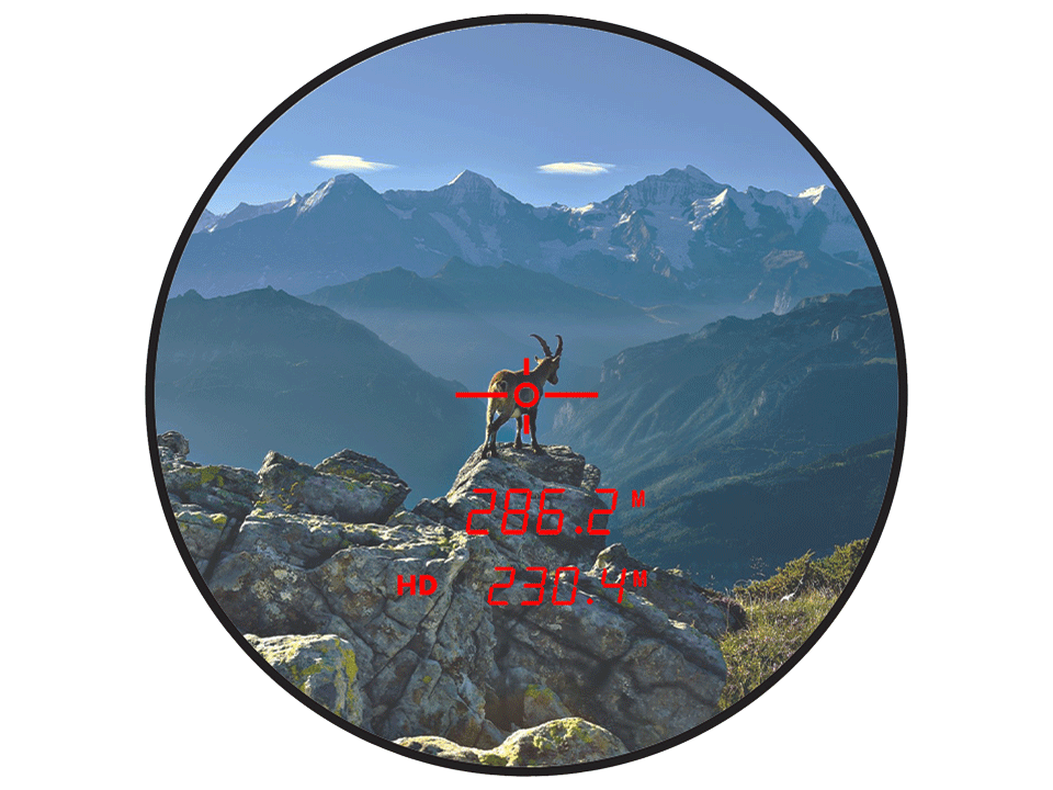 Κιάλια Steiner Ranger LRF 10X42 