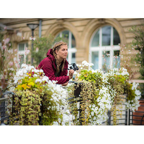 Κιάλια Steiner Safari Ultrasharp 8X25 Miniporro 