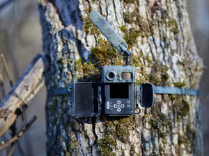 Σύστημα φωτοπαγίδας ZEISS Secacam 7 συνδεδεμένο 