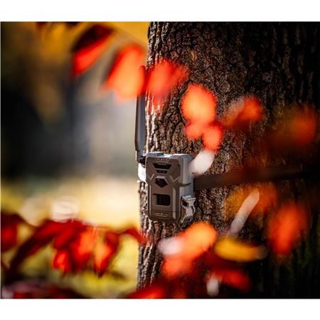 Κάμερα Spypoint Flex-M 