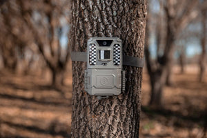 Φωτογραφική παγίδα Bushnell Prime 24MP με λευκό LED 