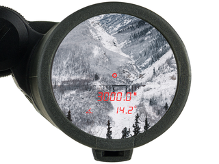 Jumelles Steiner eRanger LRF 10x42 télémètre intégré