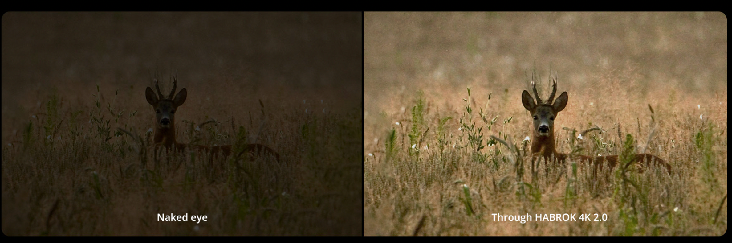 Θερμικά κιάλια Hikmicro HABROK 4K HE25L 2.0 