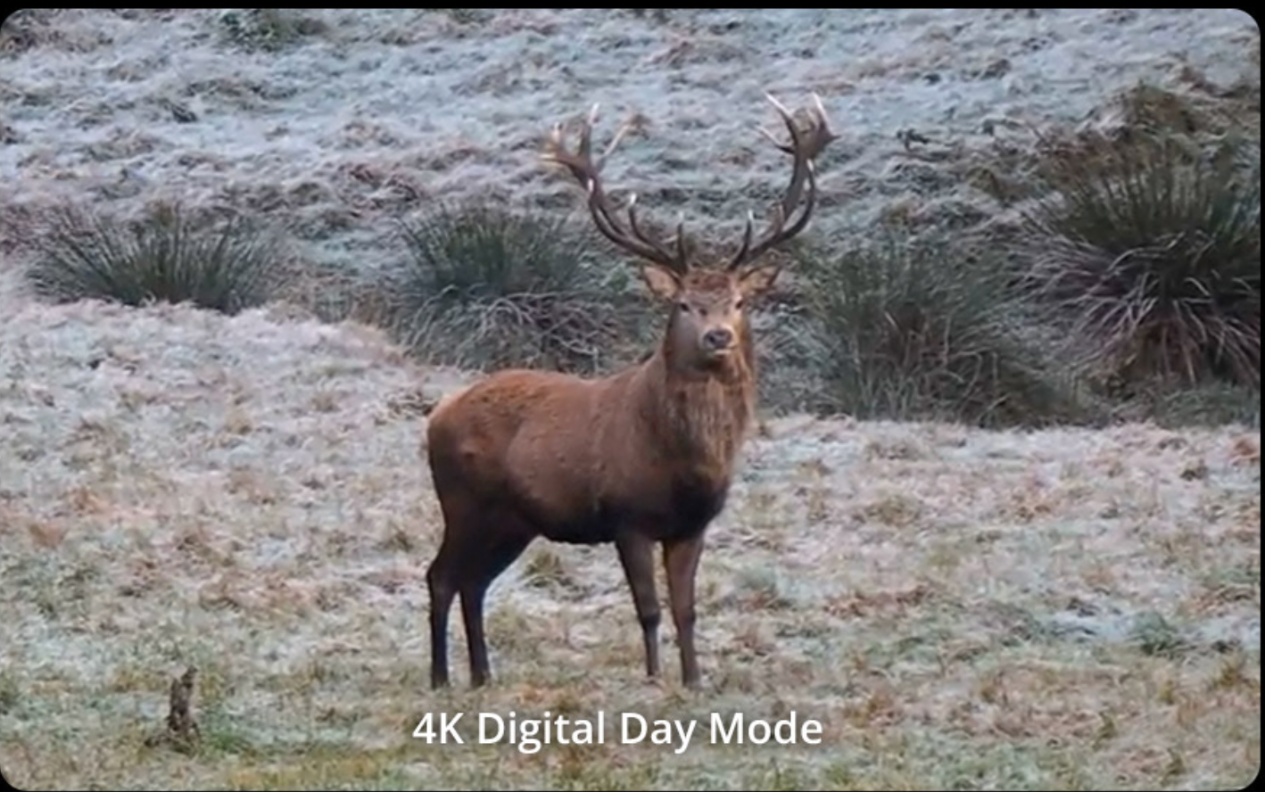 Θερμικά κιάλια Hikmicro HABROK 4K HE25L 2.0 