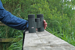 Kowa BDIII-XD 10×42 — vue complémentaire