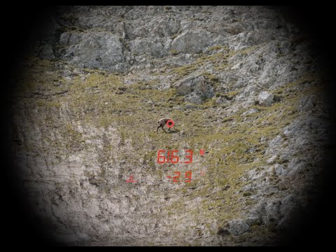 Κιάλια Steiner Ranger LRF 10X42 