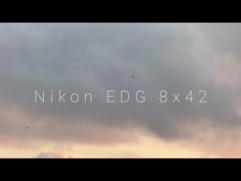 Κιάλια Nikon EDG 10x42 DCF 